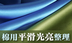 光亮平滑剂SOFTEX（索特斯）S-4231