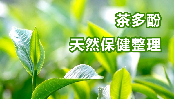 茶多酚功能整理剂开发实例