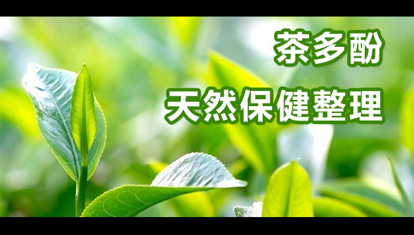 纺织用茶多酚整理剂.mp4