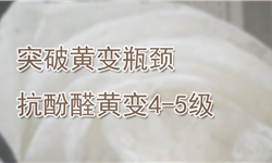 抗酚醛黄变剂定制方案：锦纶化纤抗黄变跃升4-5级新高度