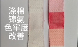 涤棉锦氨大红色沾色与泡水牢度改善效果展示