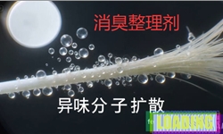 消臭整理剂——氨气、醋酸异味、异戊酸异味克星！