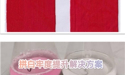 涤纶面料改善拼白牢度提升整理方案