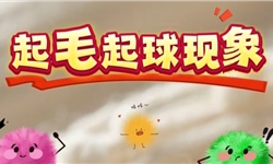 抗起毛起球整理提升方案