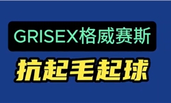 涤棉混纺面料，抗起毛起球整理提升方案