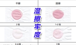大红色CVC混纺抓绒布，湿擦色牢度从1级提高到3级