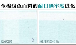 守护夏日色彩：全棉浅色面料的耐日晒牢度提升到3-4级
