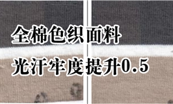 全棉色织面料光汗牢度提升0.5级