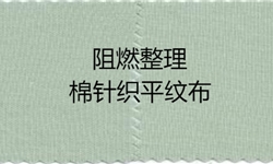 蓝绿色40S 竹纤维双面布做阻燃整理（色变小）解决方案