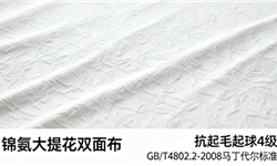锦氨大提花双面布：抗起毛起球4级GB/T4802.2-2008 马丁代尔标准方案