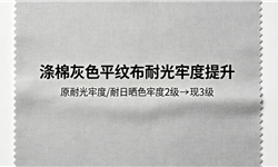 涤棉灰色平纹布，耐光牢度/耐日晒色牢度从2级提高到3级定制案例