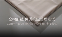全棉府绸免烫整理抗皱DP评级